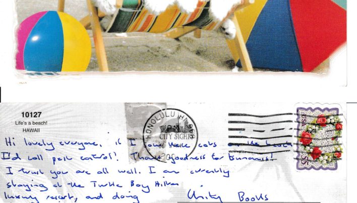 Damian Skinner Postcard from Honolulu, 2000