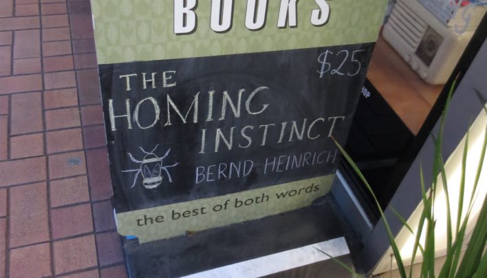 Homing Instinct Blackboard, 29th July 2015