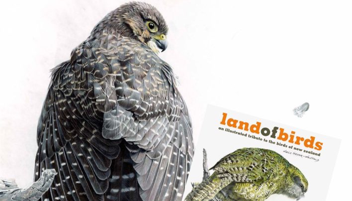 Land of Birds Event, 22nd July 2015