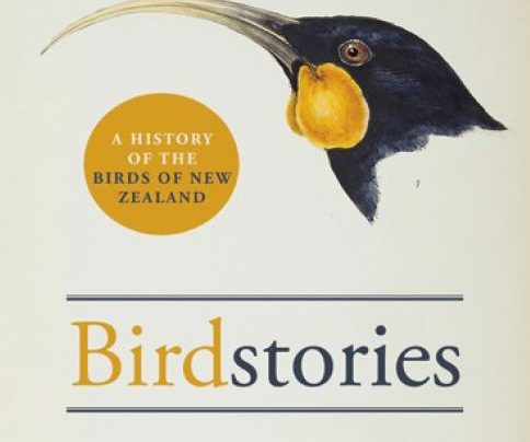 Launch | Birdstories by Geoff Norman | In-store at Unity Books, Tuesday 6th November, 6-7:30pm | 57 Willis Street, Wellington