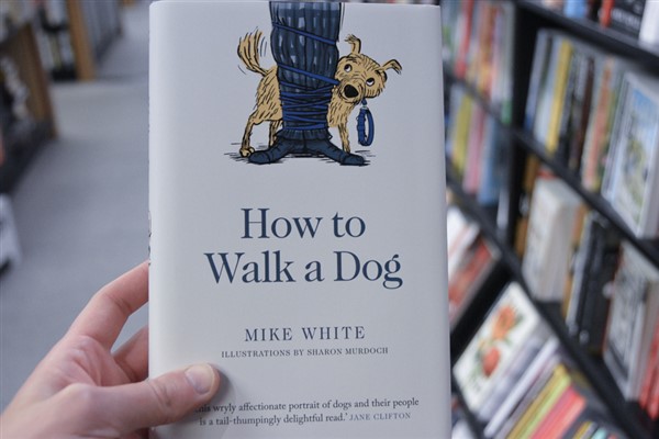 AFTERGLOW: How to Walk a Dog – Mike White